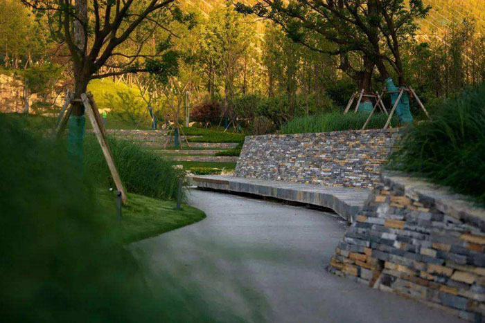 ���ҵ���;���ŵ�����Щ��������������